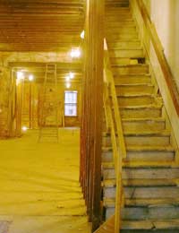 Basement Basement Conversion Light